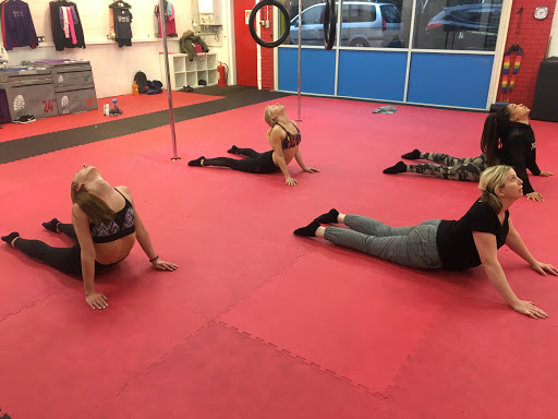 Body Synergy Pole Dancing at One Fitness Academy