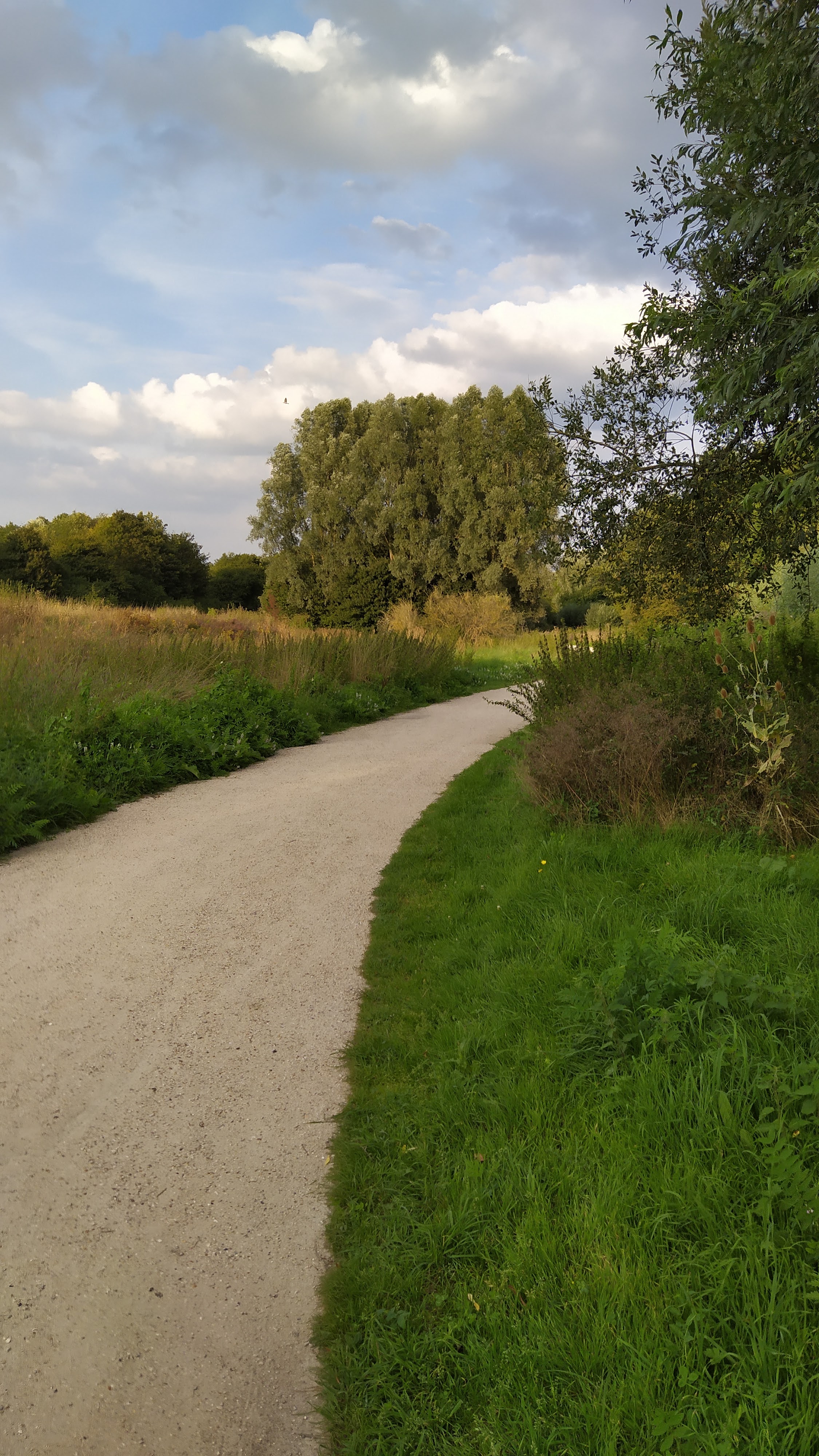 Photo n° 1 de l'avis de Octavian.i fait le 29/08/2019 à 15:38