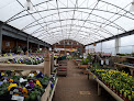 Buckingham Garden Centre