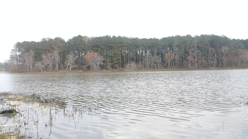 Tourist Attraction «South Shore Park», reviews and photos, 4555 Ragsdale Rd, Acworth, GA 30101, USA