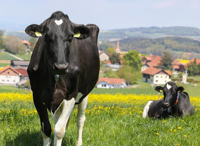 Nutztiergesundheit Schweiz NTGS