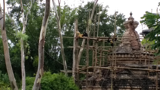 Tourist Attraction «Kali River Rapids», reviews and photos, Asia, Kissimmee, FL 34747, USA