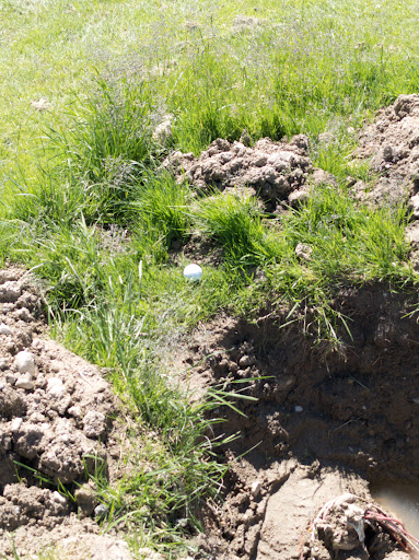 Golf Course «Jefferson Park Golf Course», reviews and photos, 4101 Beacon Ave S, Seattle, WA 98108, USA