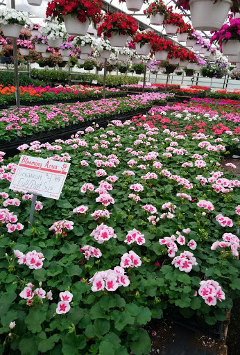 Plant Nursery «Blooming Acres», reviews and photos, 7561 State Rd, Wadsworth, OH 44281, USA