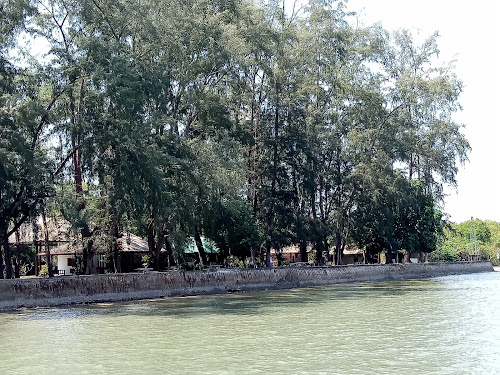 Ko Libong Beach photo #2