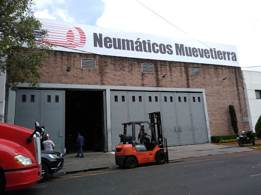 Neumaticos Muevetierra