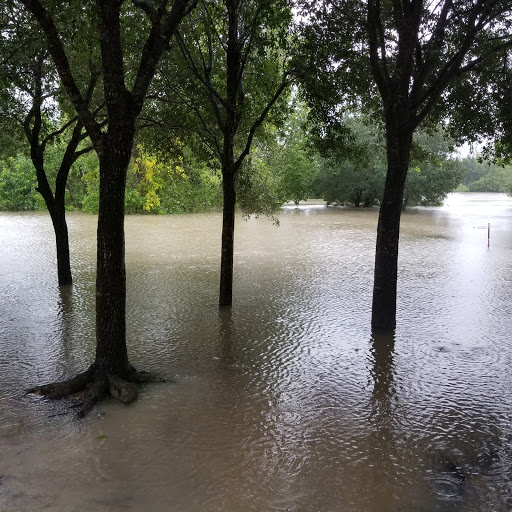 Park «Terry Hershey Park», reviews and photos, 15200 Memorial Dr, Houston, TX 77079, USA