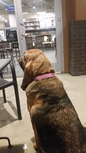 Starbucks image