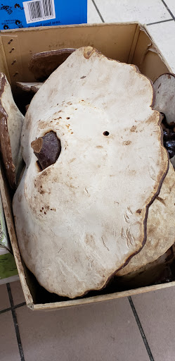 Asian Grocery Store «Asia Supermarket», reviews and photos, 143 N 11th St, Philadelphia, PA 19107, USA