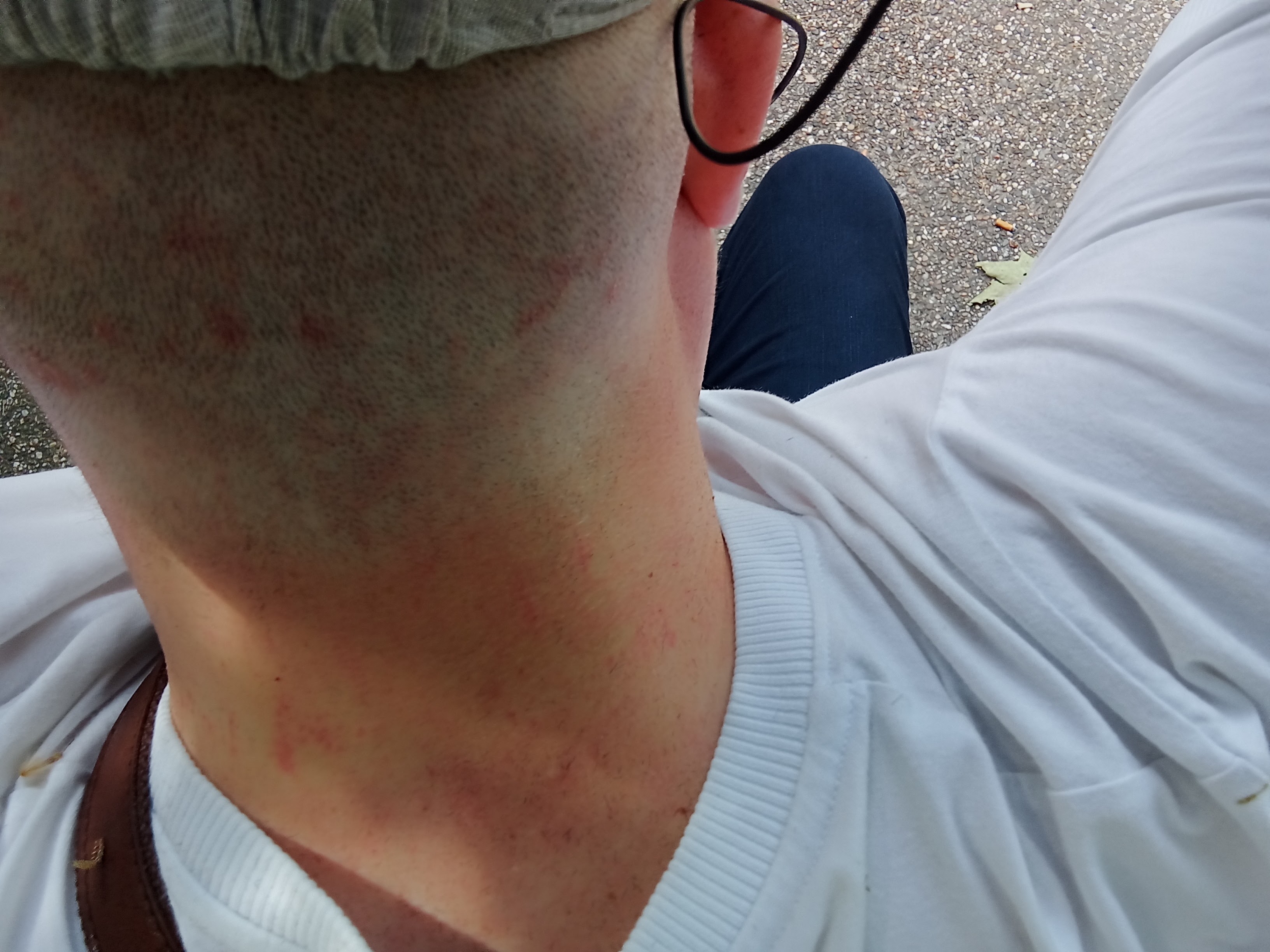 Photo n° 1 de l'avis de Boudu.o fait le 06/06/2023 à 18:11