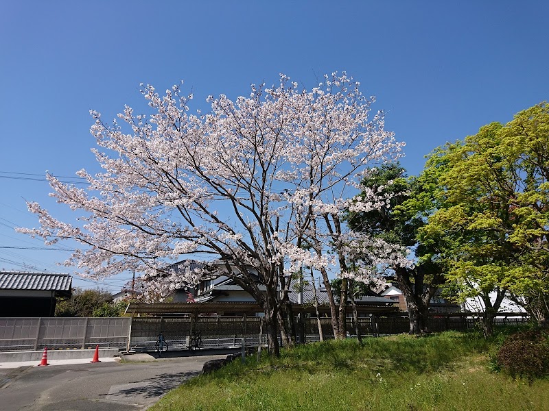 高知県立高知東高等学校