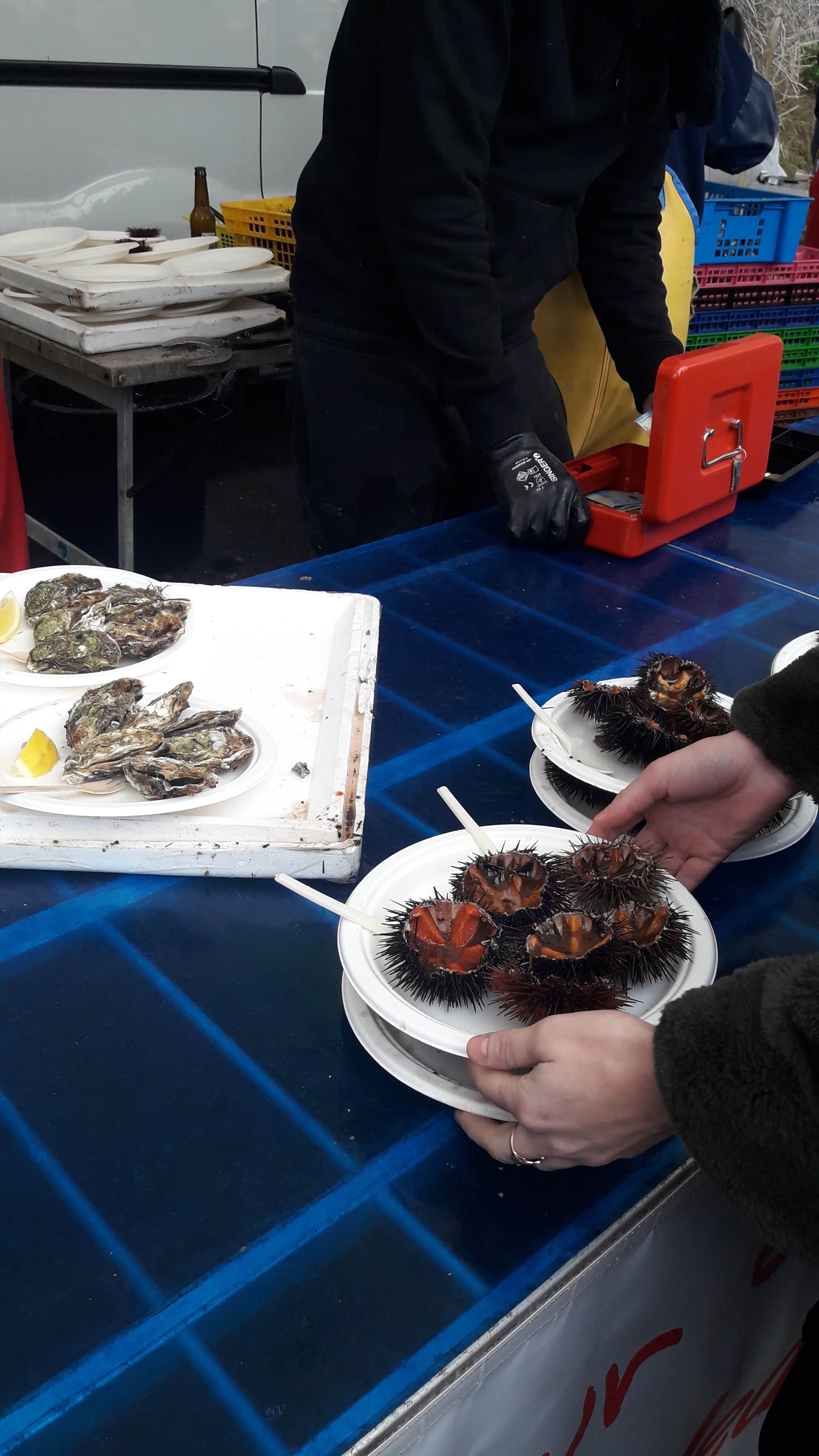Photo n° 10 de l'avis de Mireille.o fait le 12/02/2019 à 10:26