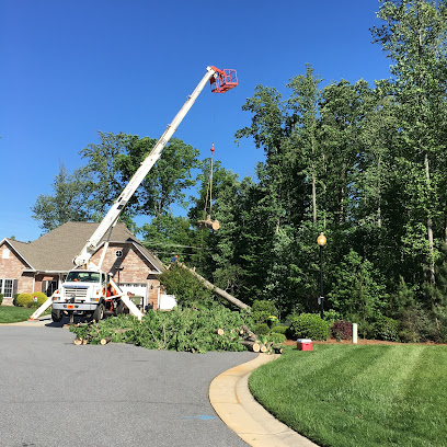 Trim Pro Tree & Landscaping Serving High Point ,Greensboro , Winston Salem , Burlington