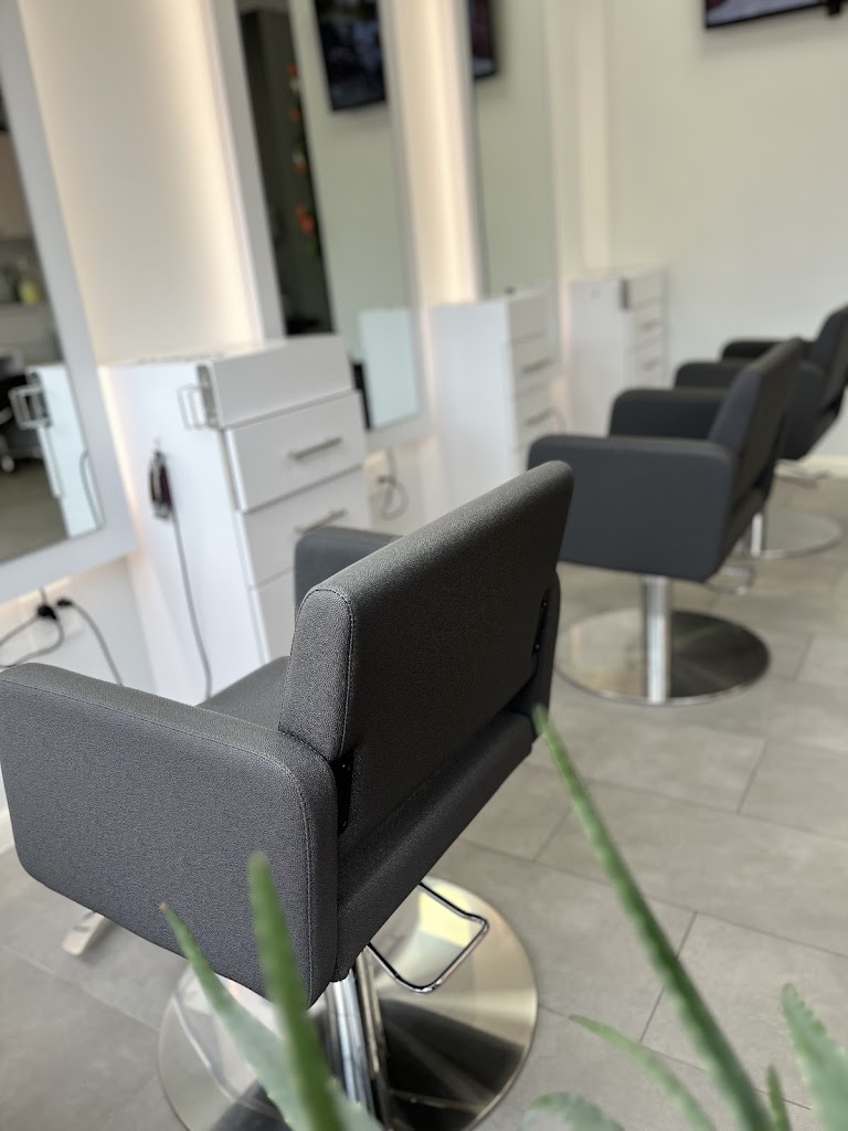 Hair Studio 251 07604