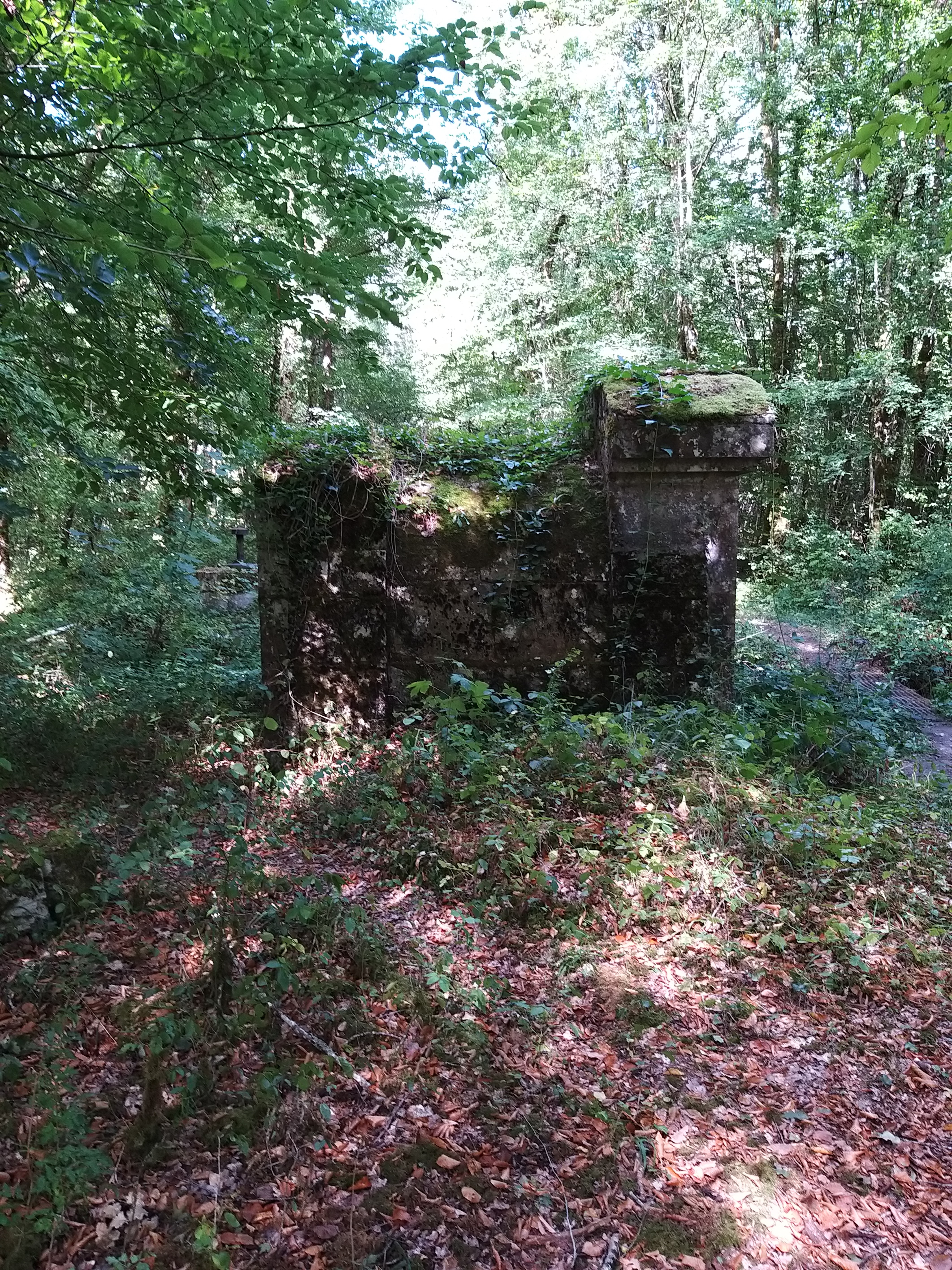 Photo n° 2 de l'avis de Patrice. fait le 30/08/2020 à 15:23