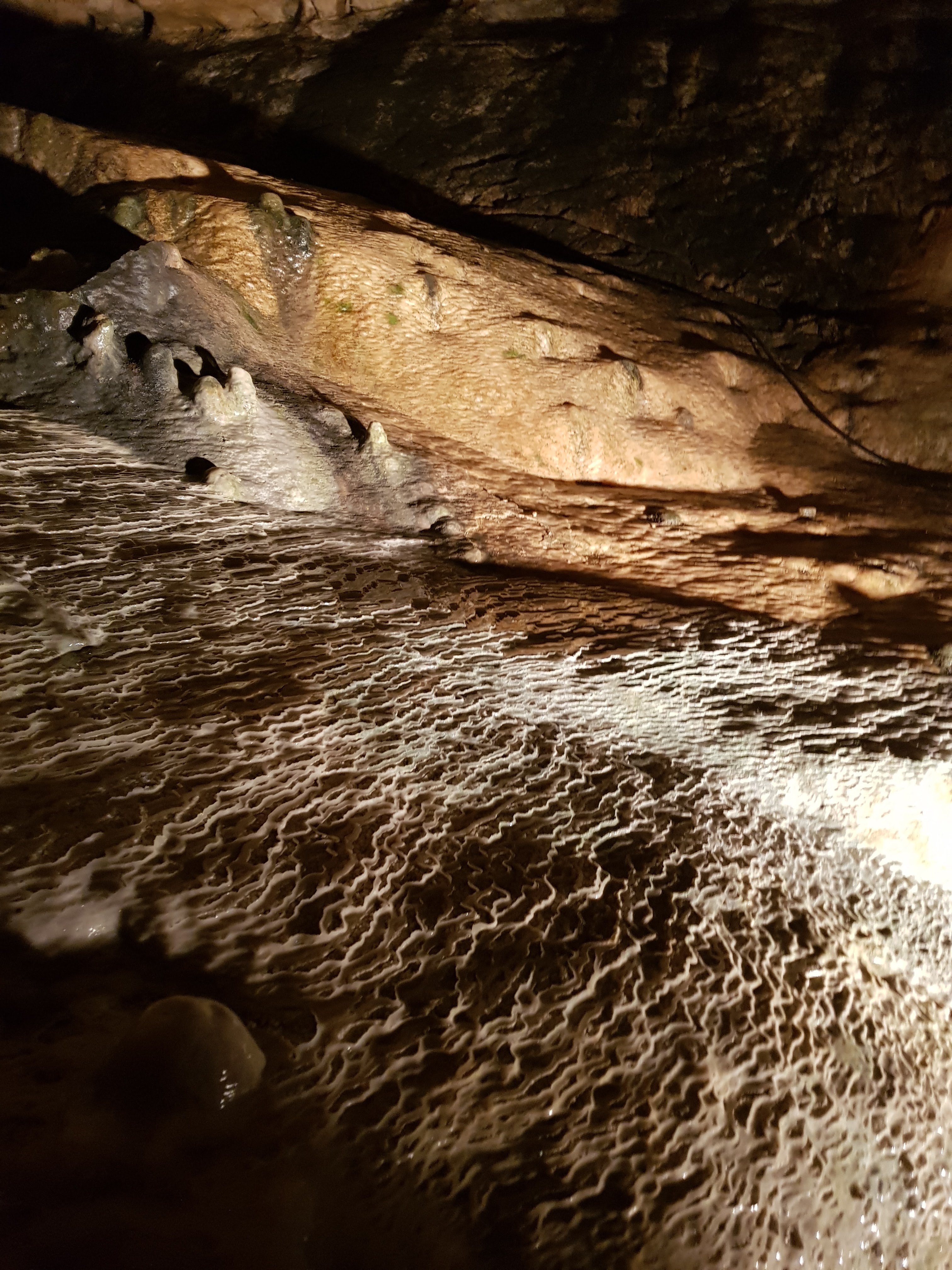 Photo n° 29 de l'avis de Jan.o fait le 05/06/2019 à 17:42