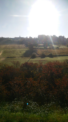 Garage Paille - Citroën