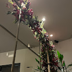 Photo n°3 de l'avis de Giovanna.e fait le 16/03/2024 à 22:29 sur le  Pirani La Brasserie à Cagliari