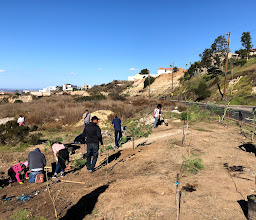 Parqué Fovissste 5 photo