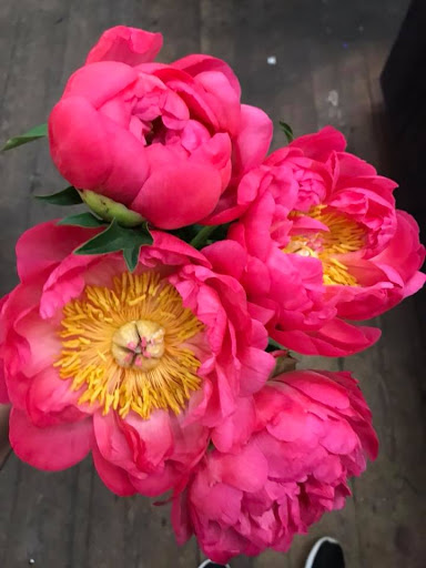 Florist «City Line Florist», reviews and photos, 2978 Nichols Ave, Trumbull, CT 06611, USA