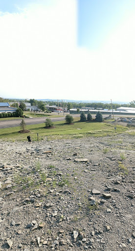 Park «Trammel Fossil Park», reviews and photos, Tramway Dr, Sharonville, OH 45241, USA