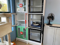 Bonita Boarding Kennel and Pet Camp - Photo 6 - Car repair in Bonita Springs, FL, Bonita Springs