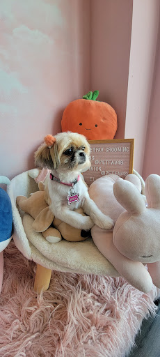 Paw Paw Pet Grooming image