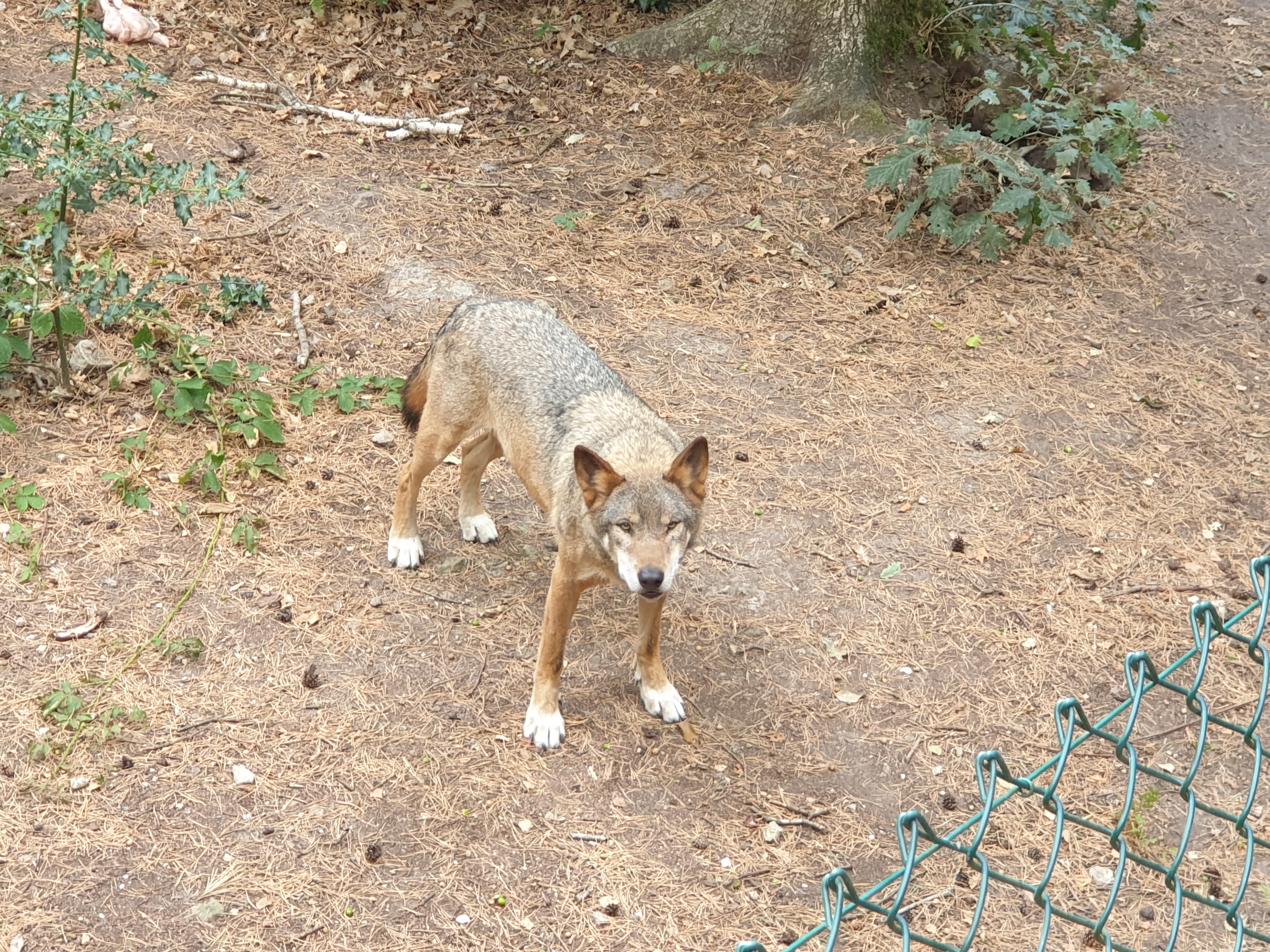 Photo n° 1 de l'avis de Sia.u fait le 18/08/2020 à 16:01