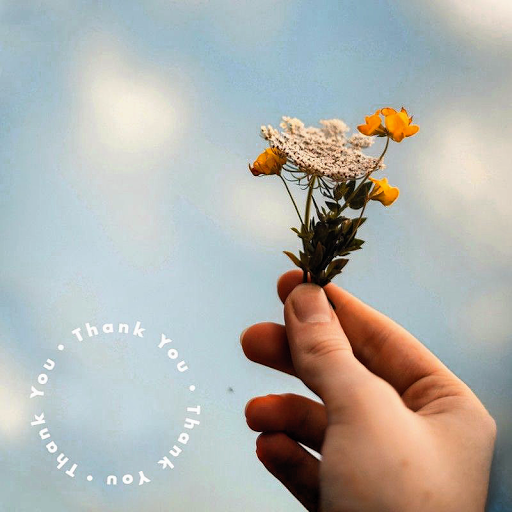 Day Spa «California Skin Care & Day Spa», reviews and photos, 6180 Jarvis Ave, Newark, CA 94560, USA