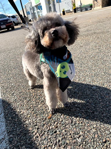 Pet Supply Store «PetSmart», reviews and photos, 6106 Shops Way, Northborough, MA 01532, USA