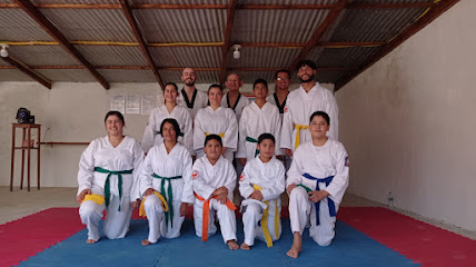Academia de taekwondo WTF Fénix-pilar