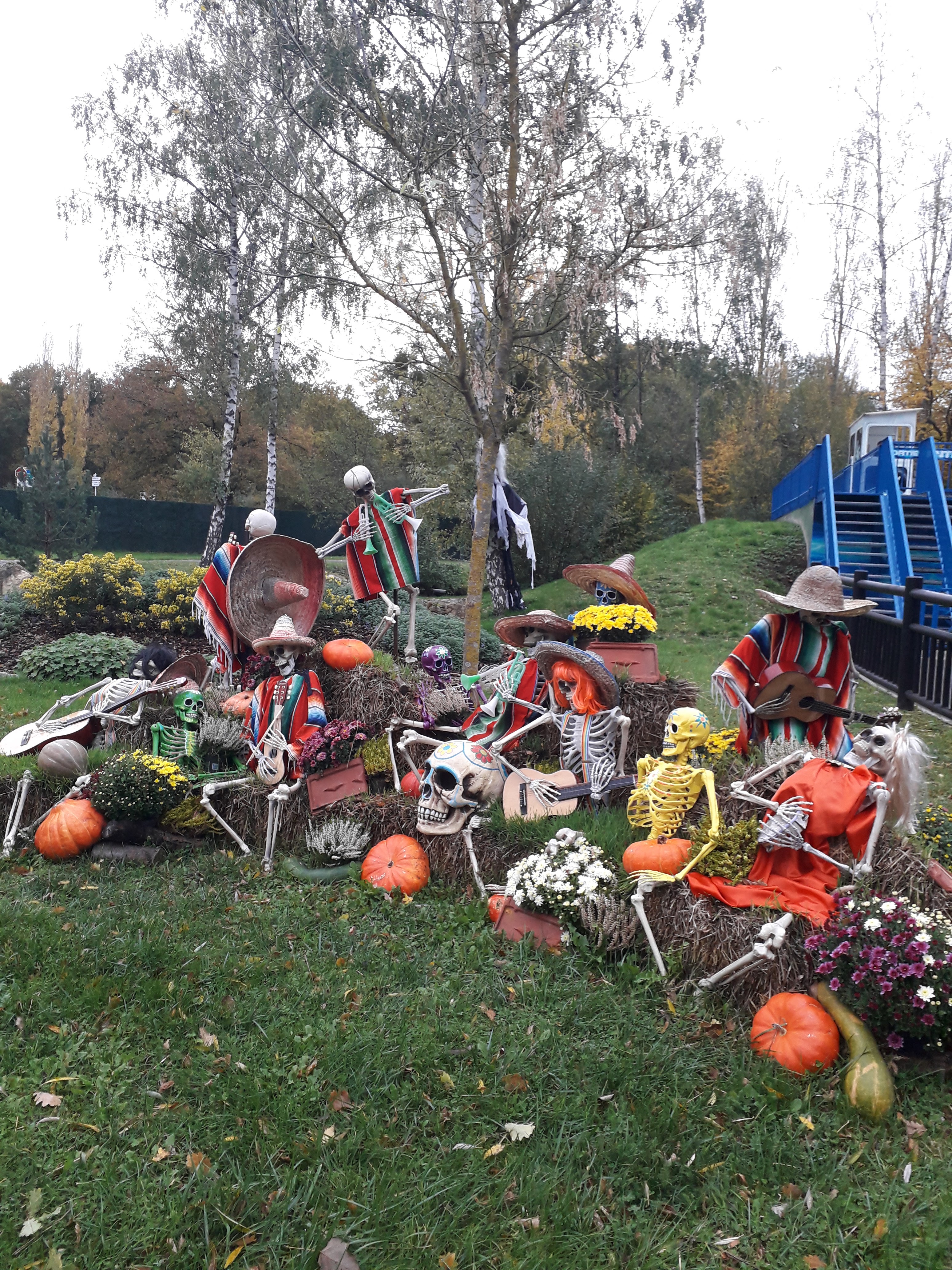 Photo n° 3 de l'avis de Audrey. fait le 25/10/2020 à 18:18