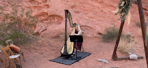 Melody in Flight, Harpist - Photo 6 - Car repair in , Henderson