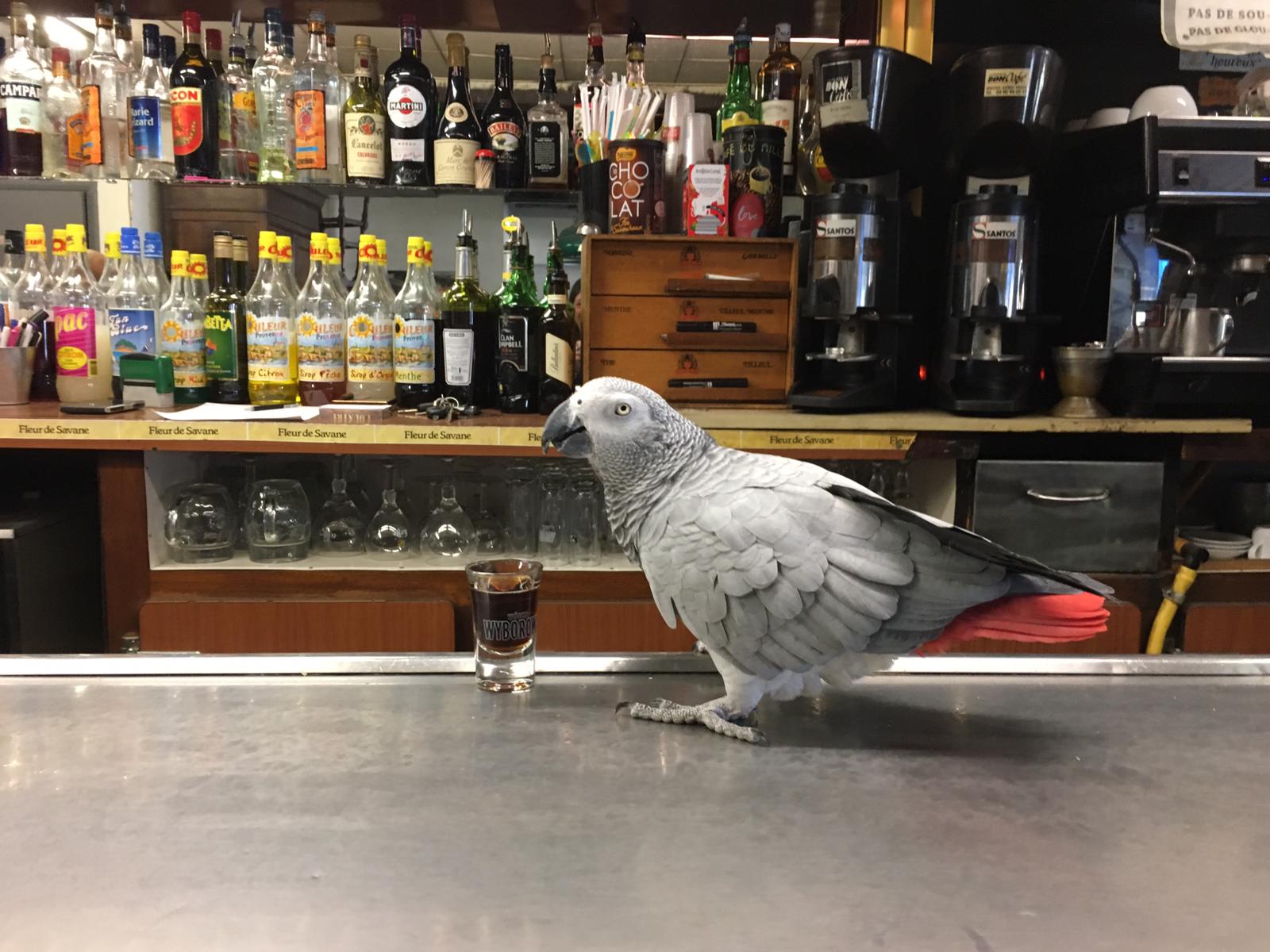 Photo n° 1 de l'avis de Peter.e fait le 07/05/2019 à 21:26