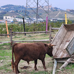 Photo n°1 de l'avis de Patrizia.e fait le 01/09/2023 à 13:39 sur le  La Muda Farmhouse à Moasca