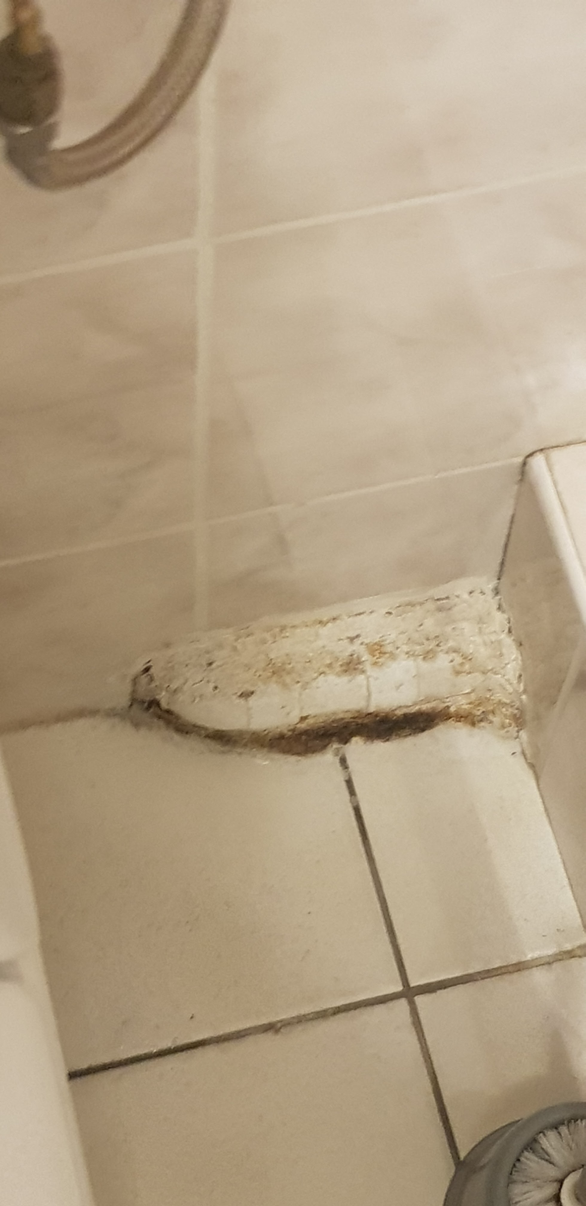 Photo n° 1 de l'avis de Romain.i fait le 16/12/2022 à 10:47