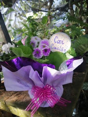 Vivero Martha - photo 1