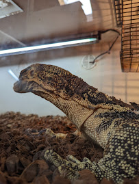 East Bay Vivarium - Photo 4 - Car repair in Berkeley, CA, San Francisco