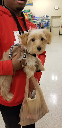 Pet Supply Store «PetSmart», reviews and photos, 2677 E Main St, Plainfield, IN 46168, USA