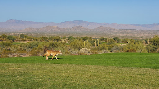 Golf Club «We-Ko-Pa Golf Club», reviews and photos, 18200 E Toh Vee Cir, Fort McDowell, AZ 85264, USA