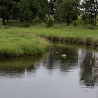 North Branch Conservation Area