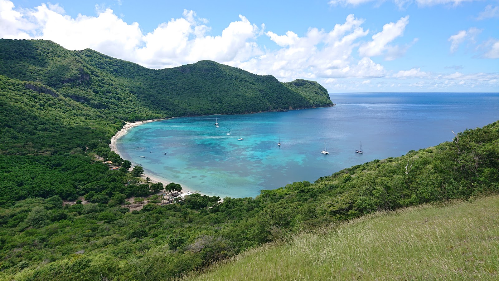 Foto von Chatham Bay Strand und seine wunderschöne Landschaft