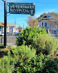 Providence Veterinary Hospital - Photo 9 - Car repair in Alameda, CA, Oakland