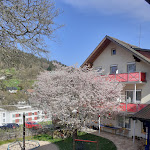 Photo n°1 de l'avis de Andreas.u fait le 18/10/2019 à 12:06 sur le  Mein Krug | Familotel Fichtelgebirge à Warmensteinach