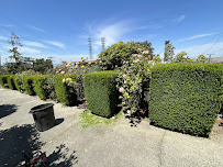 The Yard Guy - Photo 3 - Car repair in , Vallejo