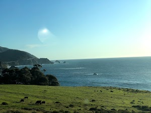 Pacific Coast Highway - photo 6