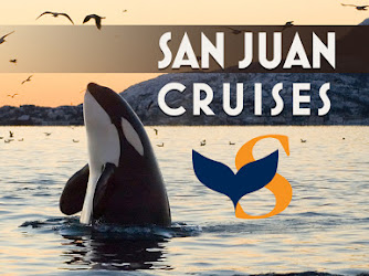 San Juan Cruises