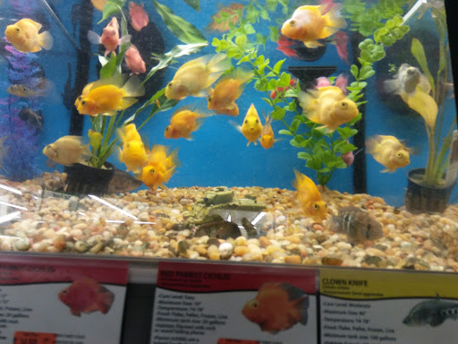 Discount Store «Big Lots», reviews and photos, 311 Deo Dr, Newark, OH 43055, USA