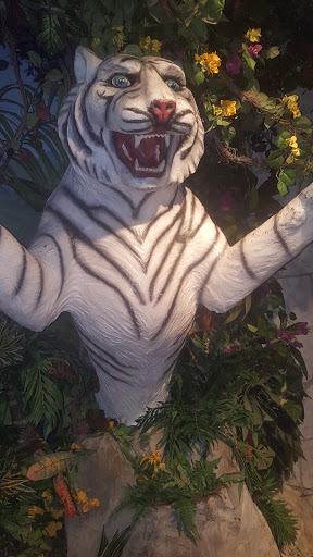 Aquarium «FJW AQUARIUM», reviews and photos, 3839 Mangum Rd, Houston, TX 77092, USA