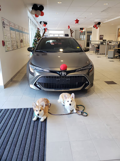 Toyota Dealer «Wellesley Toyota», reviews and photos, 234 Worcester St, Wellesley, MA 02481, USA